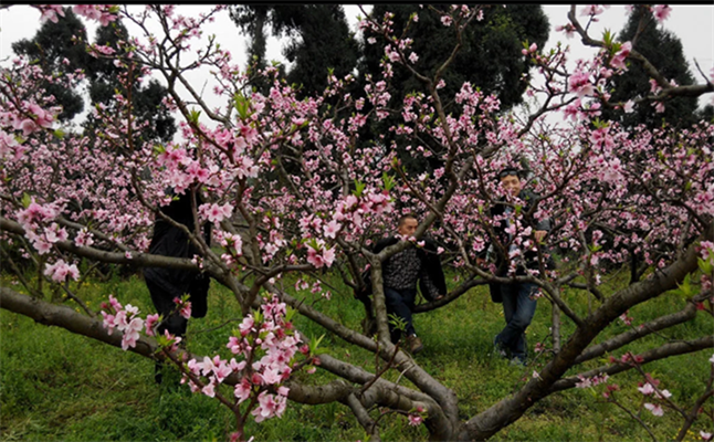 【互動(dòng)家園】不惑之年如一夢(mèng)，白駒相逢近十八